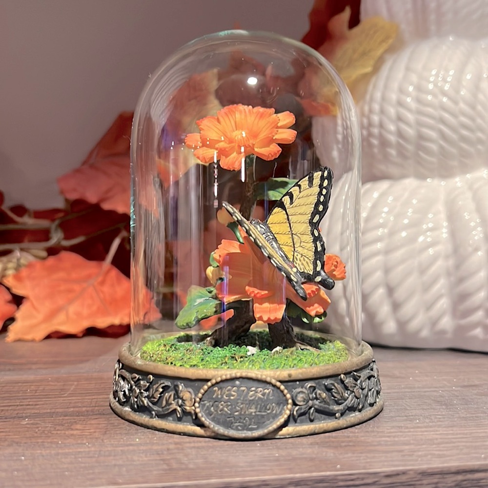 Vintage Taxidermy Butterfly Oddity Bubble Display